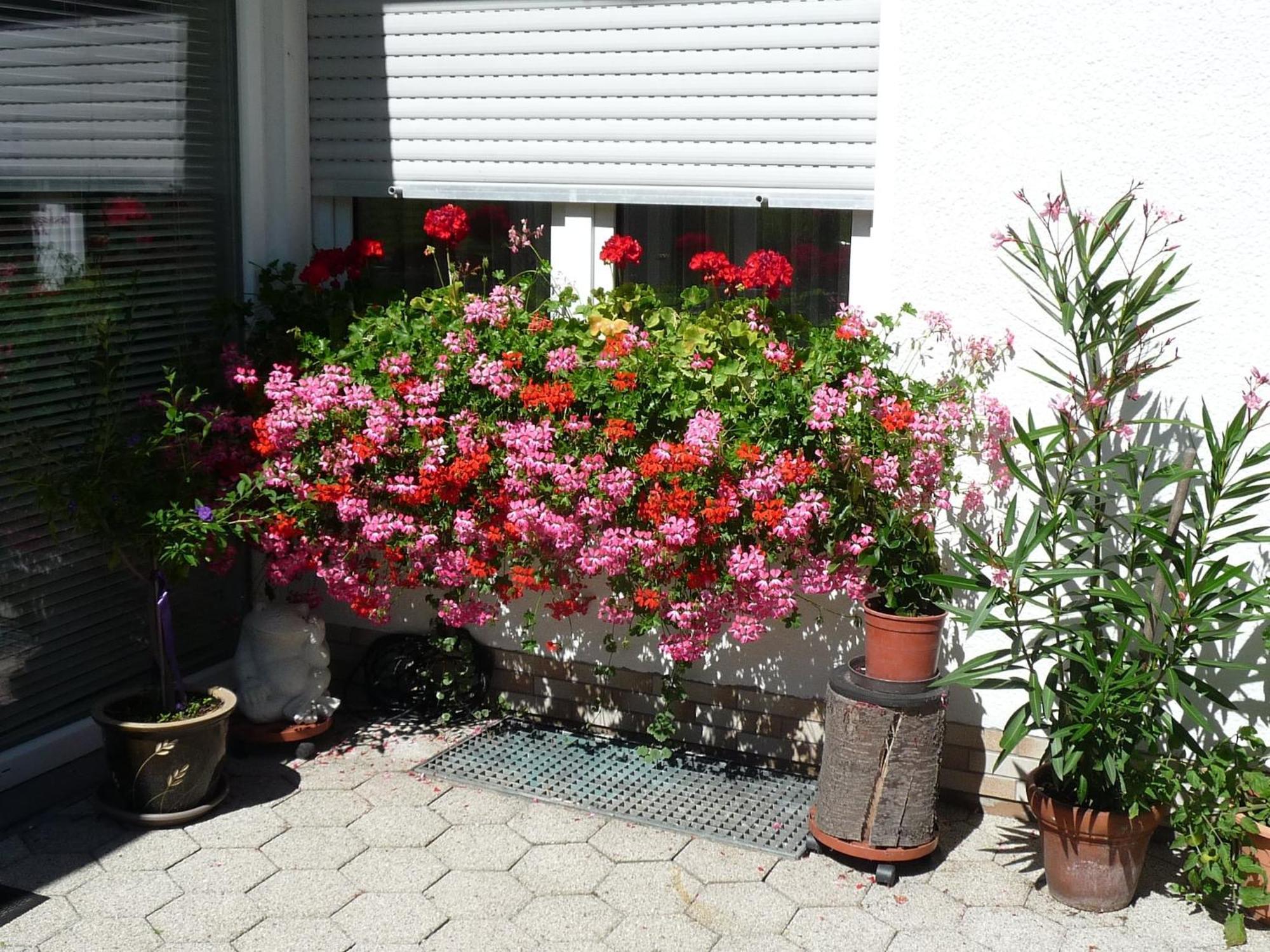 Graceful Apartment In Velmede With Garden Бествіг Екстер'єр фото